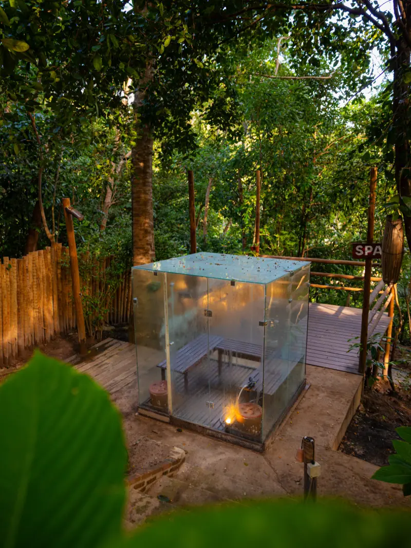 Sauna de vidro entre as árvores, ao entardecer